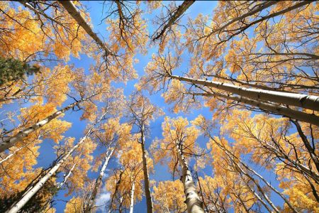 758 Denver Editorial Travel Photographer